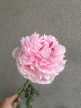 Load image into Gallery viewer, Medium Mother’s Day Garden Mixed Bouquet