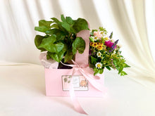 Load image into Gallery viewer, Flowers + Plant Combo
