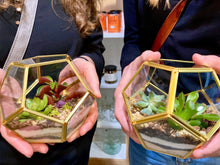 Load image into Gallery viewer, Geometric Terrarium Workshop, Friday, March 15th @ 7PM
