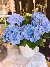 Load image into Gallery viewer, Brunch Bingo, Sunday May 3rd @ 1PM, Plant Bingo
