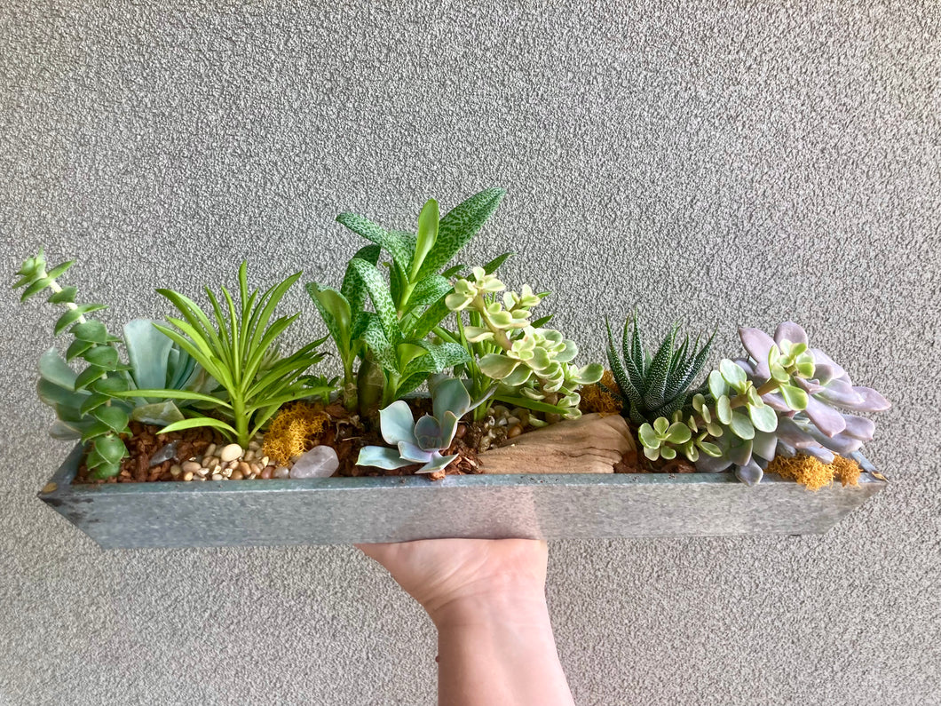 The Modern Succulent Planter, low profile