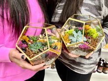 Load image into Gallery viewer, Geometric Terrarium Workshop, Friday, March 15th @ 7PM
