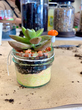 Load image into Gallery viewer, ***Add an ADDITIONAL Succulent Plant Kit for the April 21st EVENT @ 2PM
