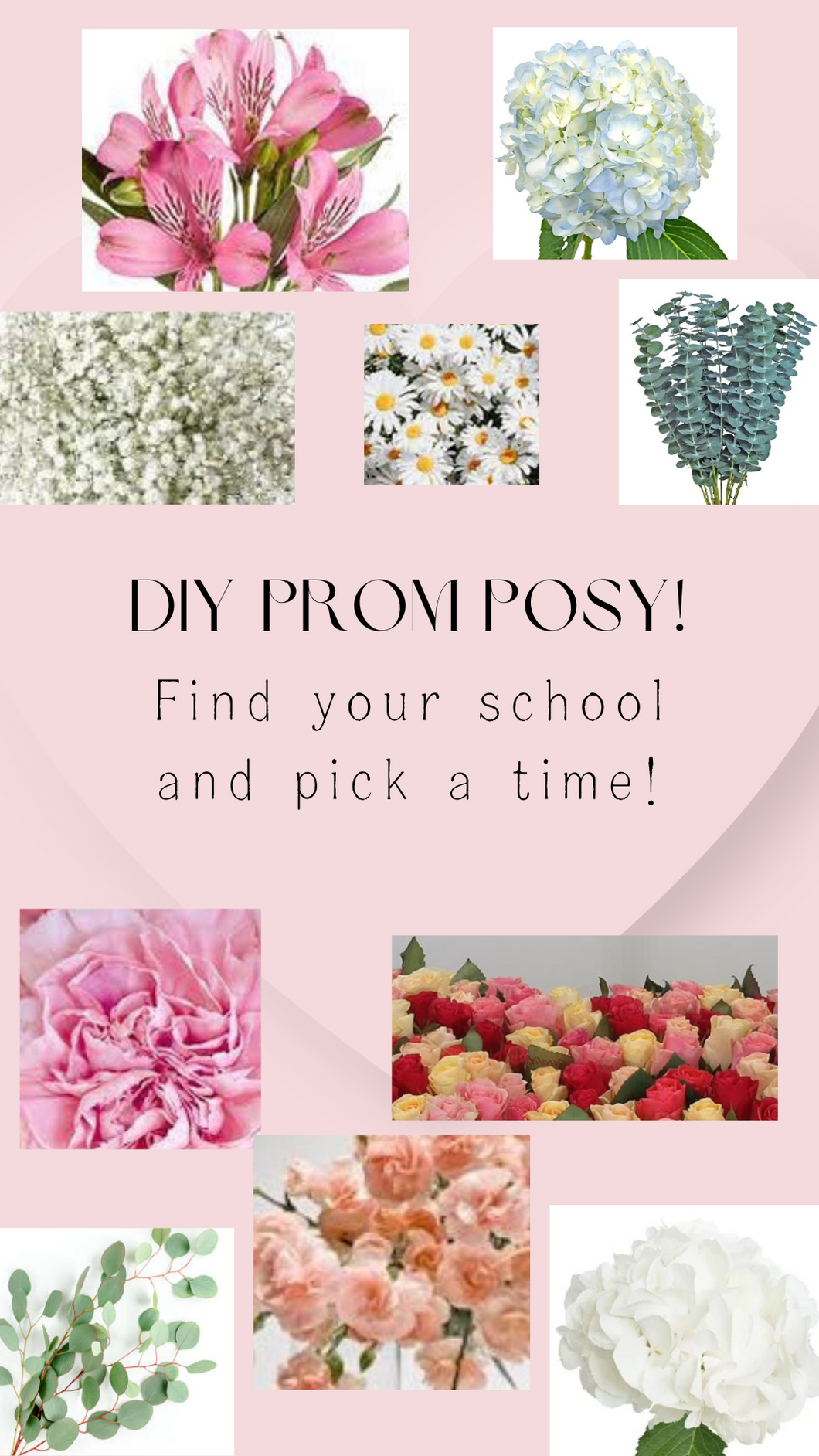 DIY Prom Posy for GP SOUTH, Thursday May 16th