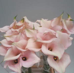 The Janice, Mother’s Day Pre-Order, Bouquet